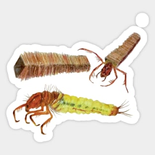 Brachycentrus Caddisfly Sticker